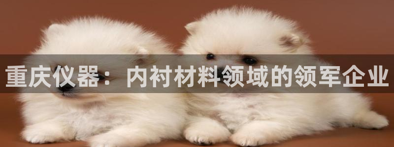 门徒娱乐平台注册登录：重庆仪器：内衬材料领域的领军企业