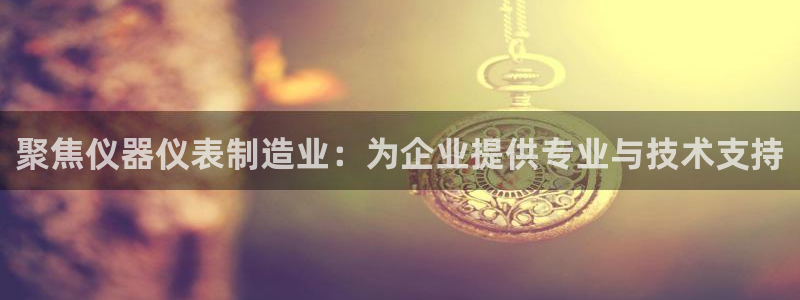 娱乐门徒电影票：聚焦仪器仪表制造业：为企业提供专业与技术支持