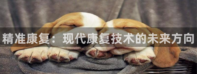 门徒娱乐是什么旗下：精准康复：现代康复技术的未来方向