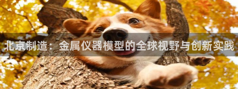 门徒娱乐登录平台是什么：北京制造：金属仪器模型的全球视野与创
