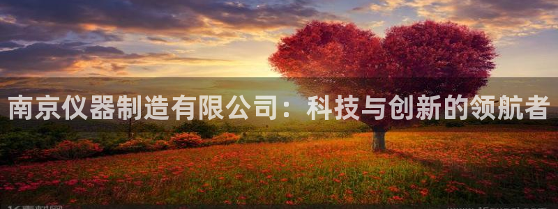 门徒娱乐系究7276O：南京仪器制造有限公司：科技与创新的领