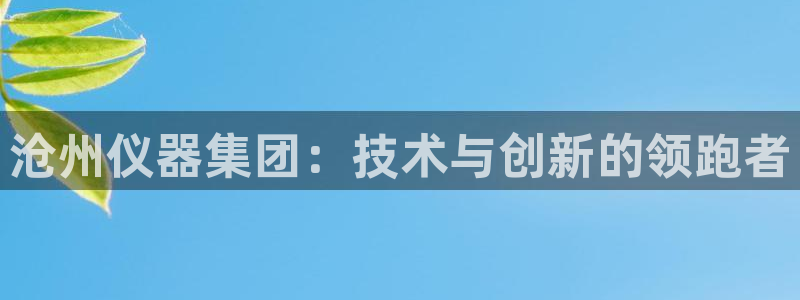 类似娱乐门徒这种的小说：沧州仪器集团：技术与创新的领跑者