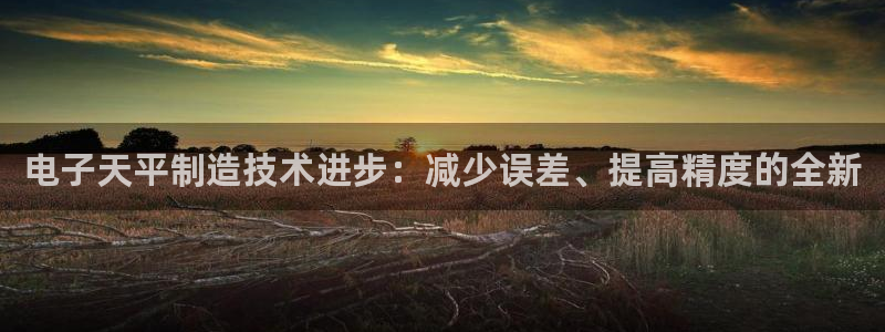 门徒娱乐加主管39977l6：电子天平制造技术进步：减少误差