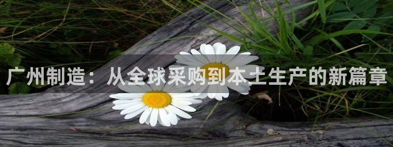 门徒海上娱乐活动：广州制造：从全球采购到本土生产的新篇章