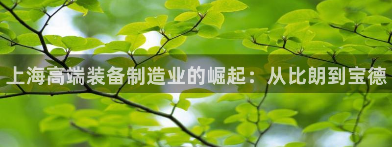 门徒彩票娱乐官方网站：上海高端装备制造业的崛起：从比朗到宝德