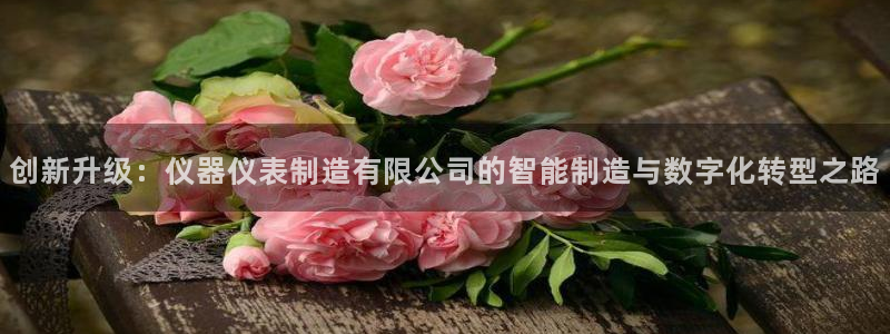 门徒娱乐网站有哪些：创新升级：仪器仪表制造有限公司的智能制造