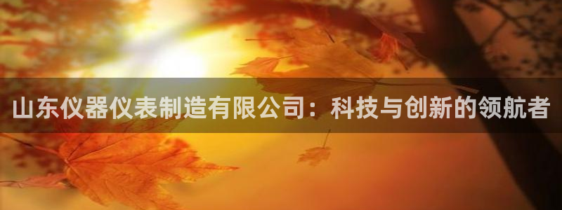 门徒娱乐主管下去判官333OO：山东仪器仪表制造有限公司：科