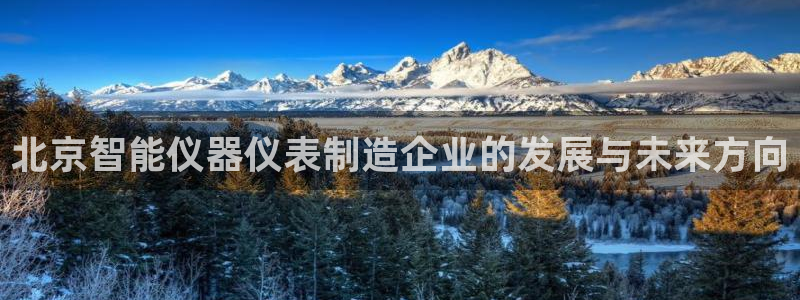 门徒娱乐盈利方法有哪些：北京智能仪器仪表制造企业的发展与未来