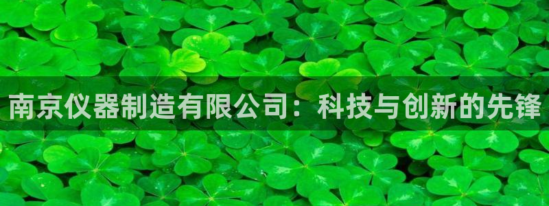 门徒娱乐怎么挂机赚钱的：南京仪器制造有限公司：科技与创新的先