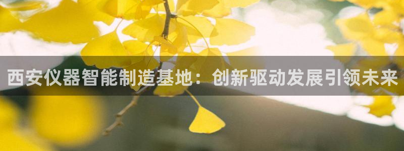 机械门徒娱乐视频：西安仪器智能制造基地：创新驱动发展引领未来