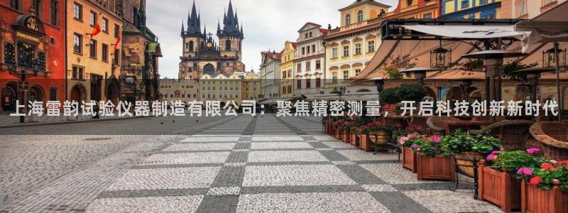 娱乐门徒棉花糖：上海雷韵试验仪器制造有限公司：聚焦精密测量，