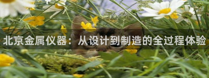 门徒娱乐京彩挂机下载：北京金属仪器：从设计到制造的全过程体验