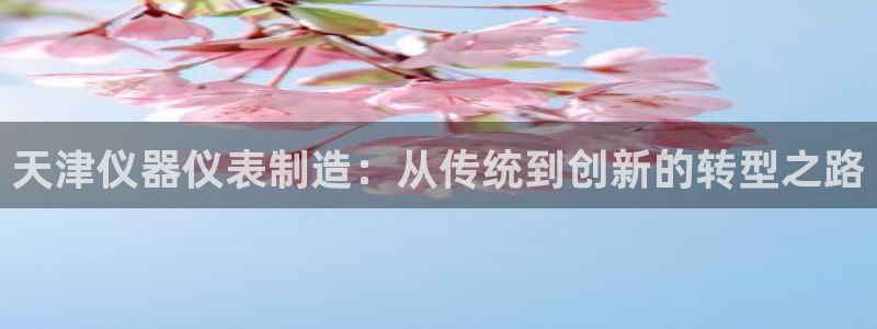 门徒娱乐怎么代理游戏的：天津仪器仪表制造：从传统到创新的转型