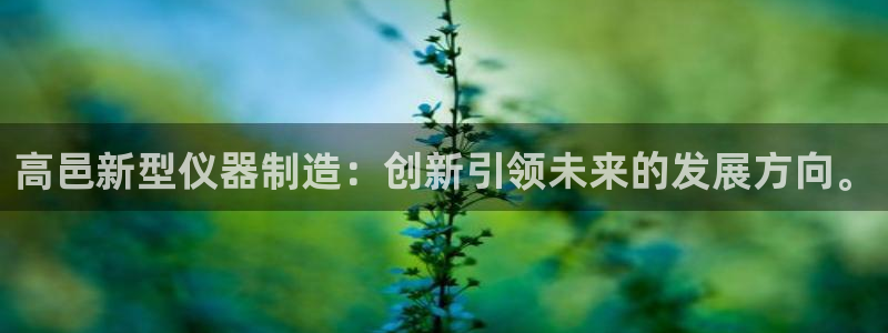 门徒娱乐登录平台注册：高邑新型仪器制造：创新引领未来的发展方