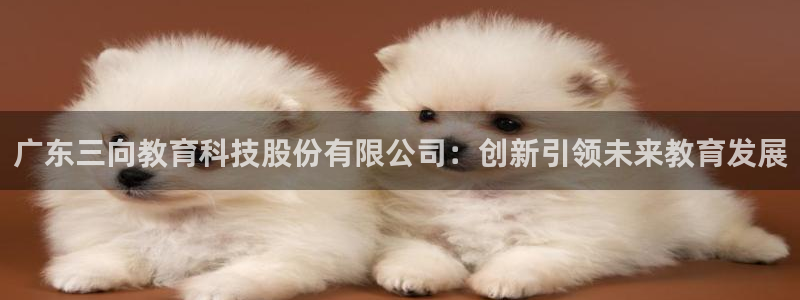 门徒娱乐主管所去判官333OO：广东三向教育科技股份有限公司