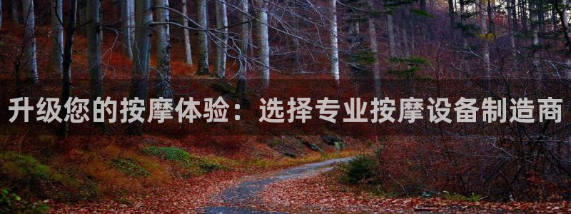 门徒娱乐计划：升级您的按摩体验：选择专业按摩设备制造商