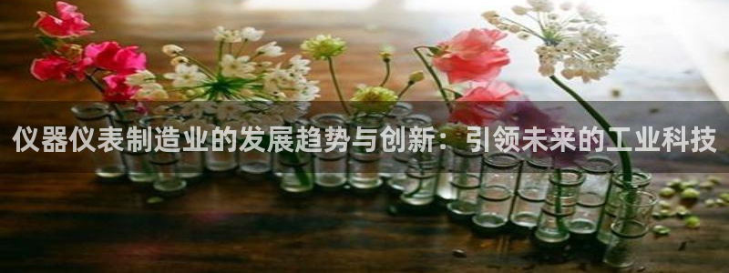 门徒娱乐公司介绍词：仪器仪表制造业的发展趋势与创新：引领未来