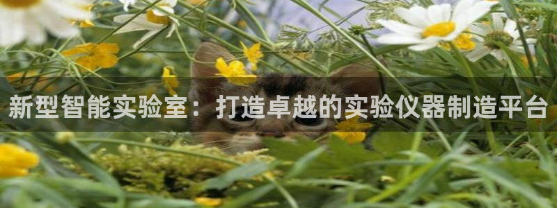 门徒娱乐网站有哪些公司：新型智能实验室：打造卓越的实验仪器制
