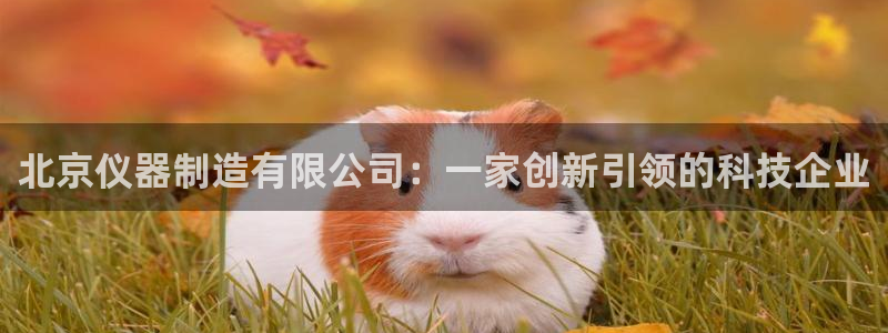 门徒娱乐怎么赚钱：北京仪器制造有限公司：一家创新引领的科技企