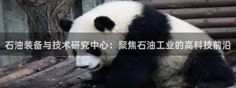新功夫之王 娱乐门徒：石油装备与技术研究中心：聚焦石油工业的