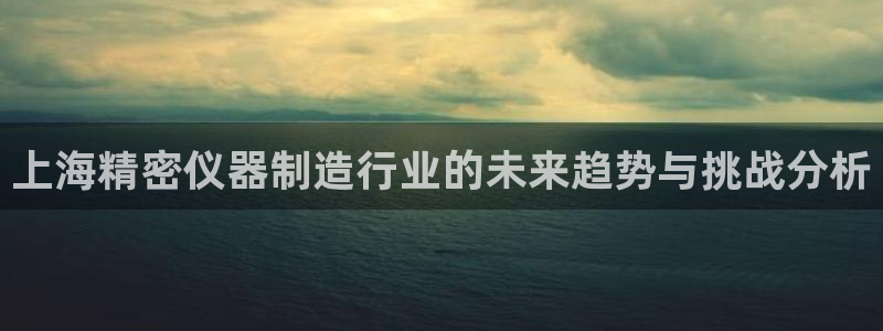门徒娱乐67五壹叁八：上海精密仪器制造行业的未来趋势与挑战分
