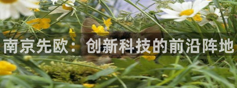 门徒娱乐千67五壹叁八：南京先欧：创新科技的前沿阵地