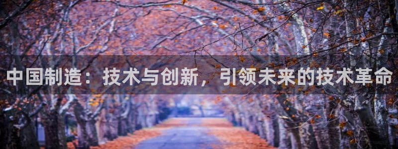 小刀娱乐门徒：中国制造：技术与创新，引领未来的技术革命
