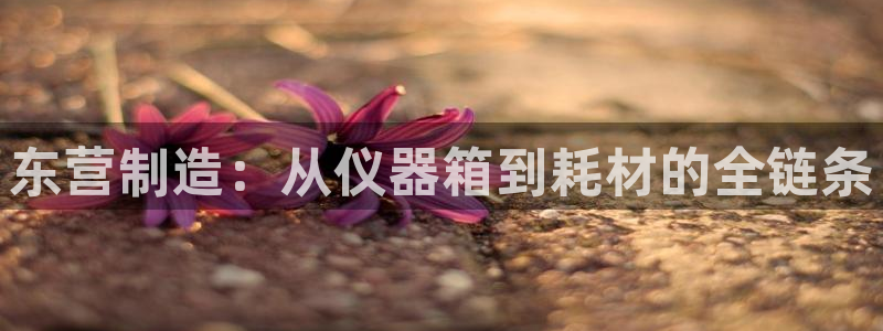 门徒娱乐个67五壹叁八：东营制造：从仪器箱到耗材的全链条