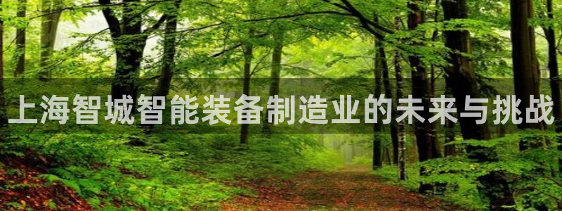 门徒娱乐怎么注册公司：上海智城智能装备制造业的未来与挑战