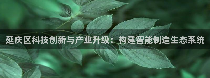 门徒娱乐场所叫什么名称：延庆区科技创新与产业升级：构建智能制