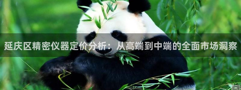 门徒娱乐上5指尖：延庆区精密仪器定价分析：从高端到中端的全面