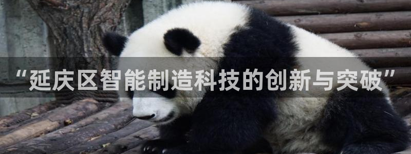 门徒娱乐充钱是真的吗：“延庆区智能制造科技的创新与突破”