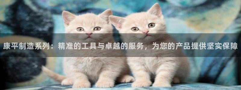 门徒娱乐是怎么赚钱的呀：康平制造系列：精准的工具与卓越的服务
