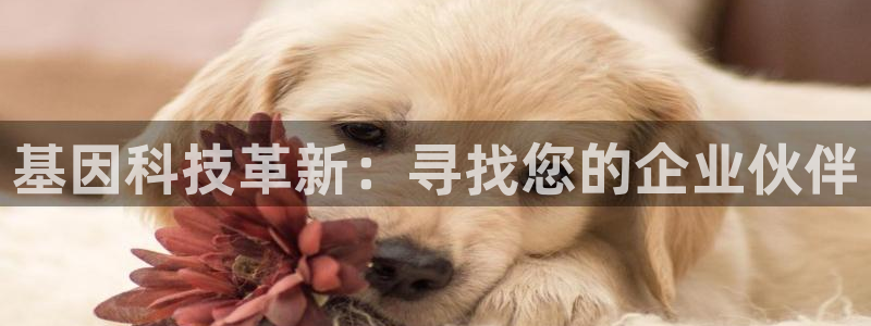 娱乐门徒 小说推荐：基因科技革新：寻找您的企业伙伴