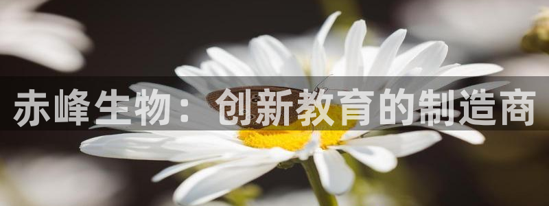 门徒娱乐的优势和劣势：赤峰生物：创新教育的制造商