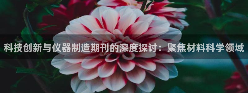 门徒娱乐登录网址是什么：科技创新与仪器制造期刊的深度探讨：聚