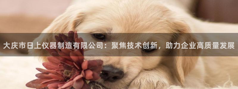 门徒娱乐负责人：大庆市日上仪器制造有限公司：聚焦技术创新，助