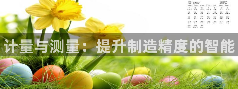 门徒娱乐他494o3：计量与测量：提升制造精度的智能