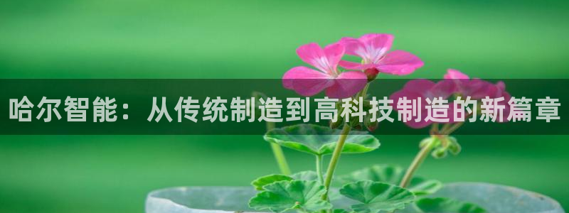 娱乐门徒电影截图：哈尔智能：从传统制造到高科技制造的新篇章