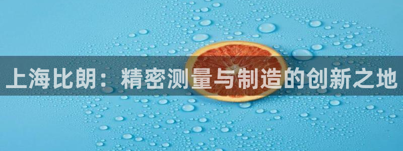 门徒娱乐怎么挂机刷钱：上海比朗：精密测量与制造的创新之地