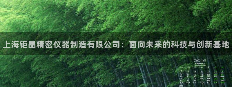 门徒娱乐发展趋势：上海钜晶精密仪器制造有限公司：面向未来的科