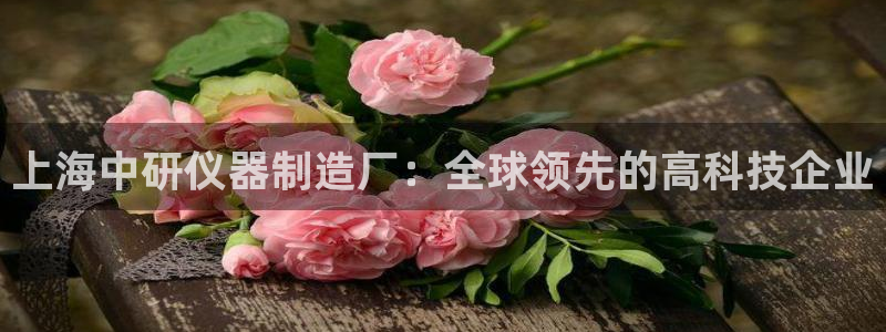 门徒娱乐公司介绍：上海中研仪器制造厂：全球领先的高科技企业