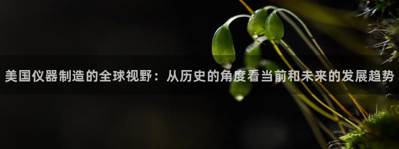门徒娱乐在线开户怎么开：美国仪器制造的全球视野：从历史的角度