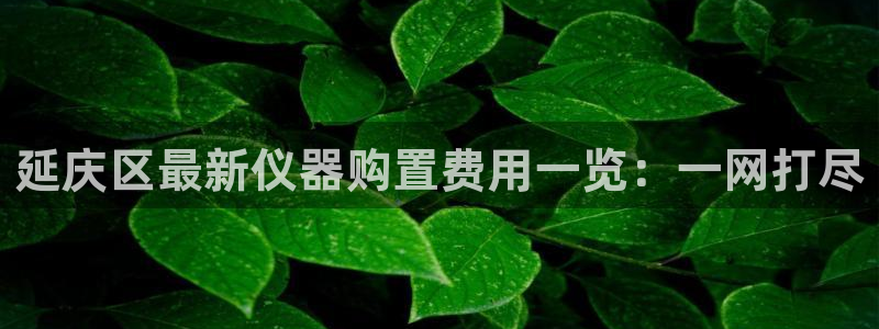 门徒娱乐平台违法吗：延庆区最新仪器购置费用一览：一网打尽