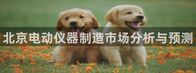 门徒娱乐测速：北京电动仪器制造市场分析与预测