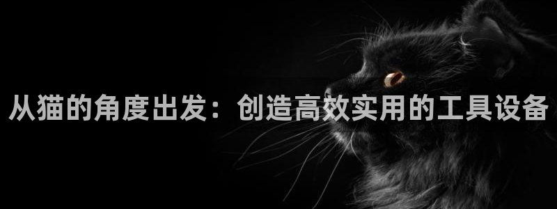 门徒娱乐登录中心官网下载：从猫的角度出发：创造高效实用的工具