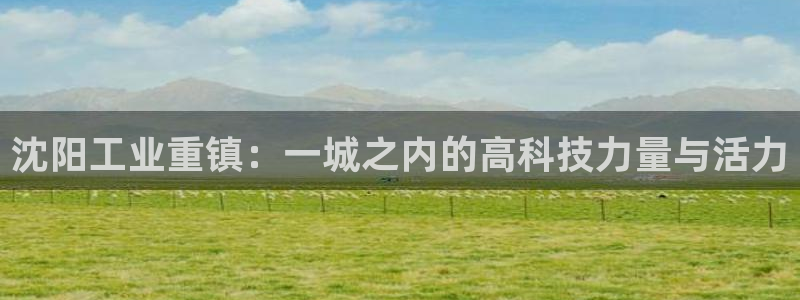 门徒第娱乐日5指尖：沈阳工业重镇：一城之内的高科技力量与活力