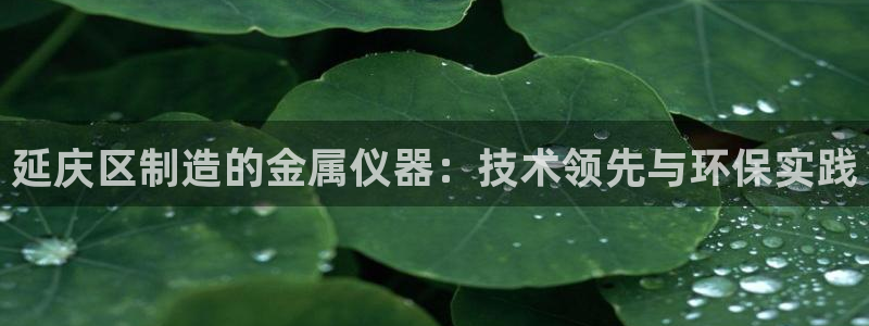 门徒娱乐下载：延庆区制造的金属仪器：技术领先与环保实践
