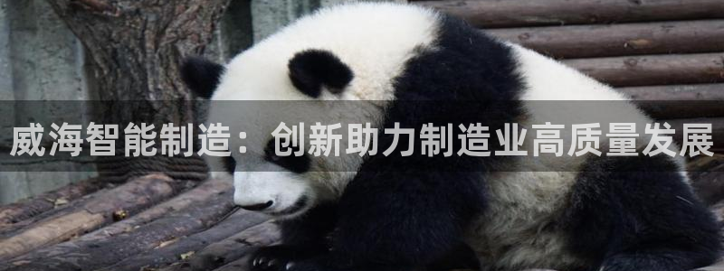 门徒娱乐网站下载安装：威海智能制造：创新助力制造业高质量发展