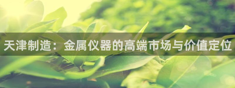 门徒娱乐网站官网首页：天津制造：金属仪器的高端市场与价值定位